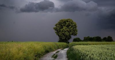 Najwyższy stopień ostrzeżenia w południowo-centralnej części Polski, burze i ulewne opady deszczu